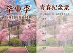 毕业季校园粉色樱花美景