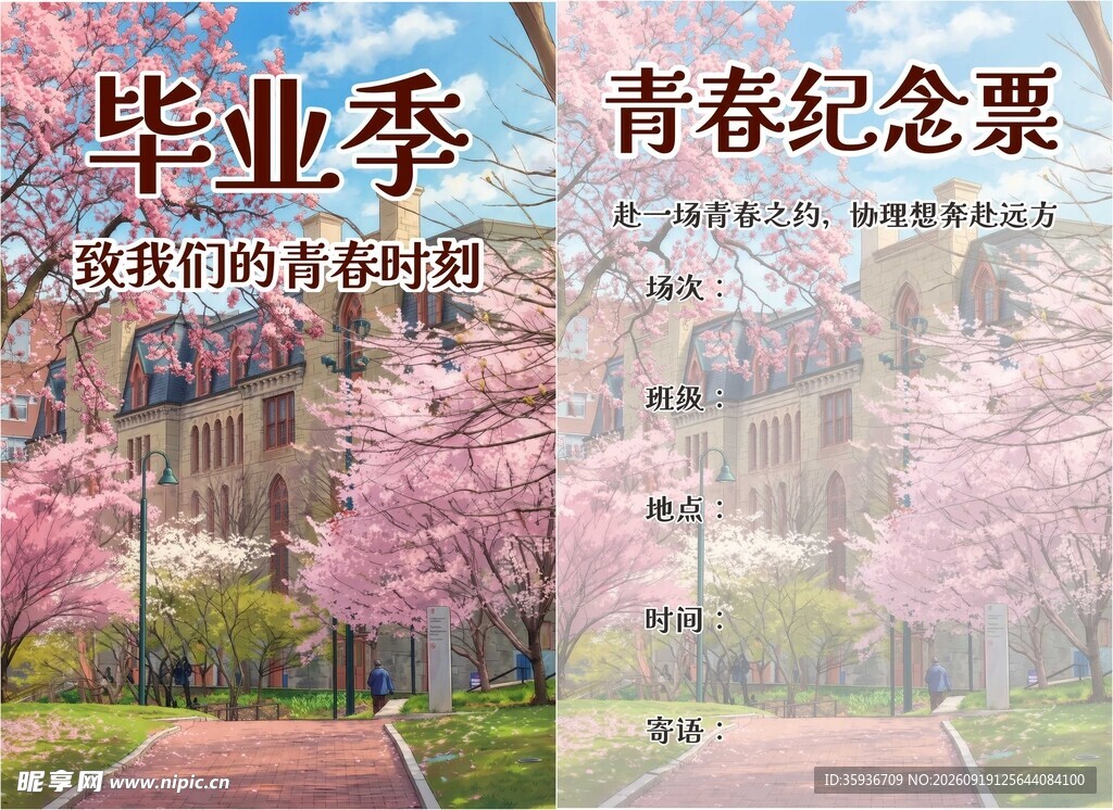毕业季校园粉色樱花美景