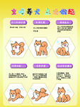 萌态柴犬动作展示