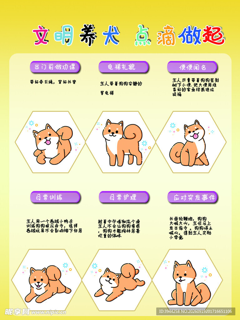 萌态柴犬动作展示