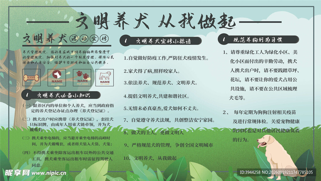关爱犬类从收养做起