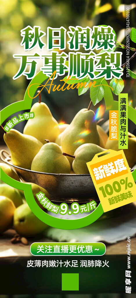秋月梨新鲜上市现摘现发