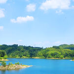 秀丽湖景与葱郁山林