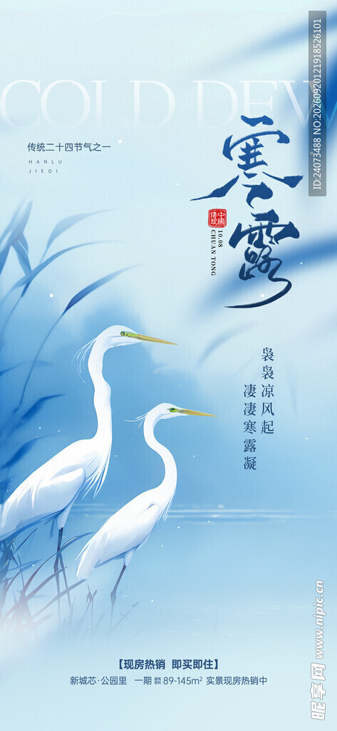 蓝白背景下的优雅白鹭