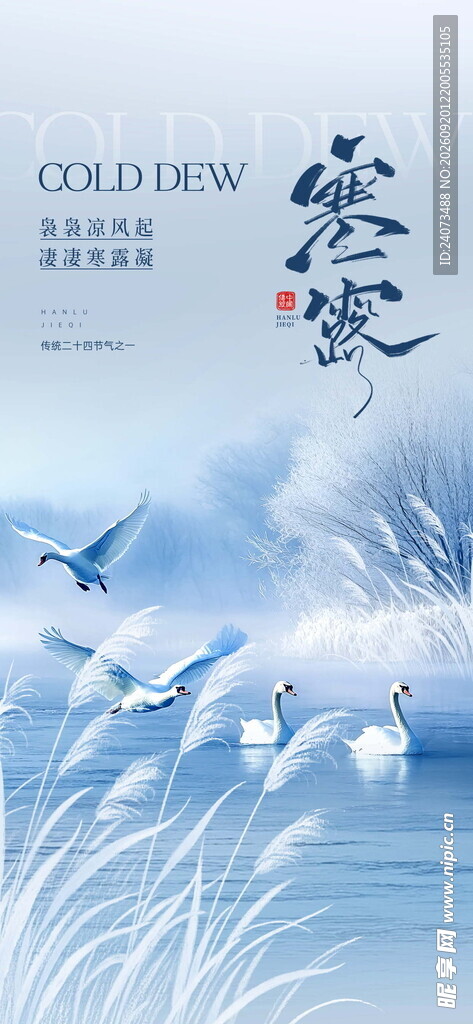 冬日群鸟翔于芦苇湖畔