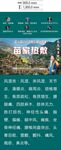 海报设计指南