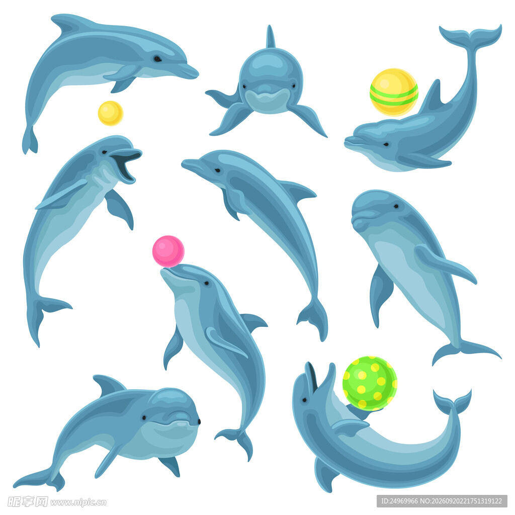 海豚玩球可爱插画