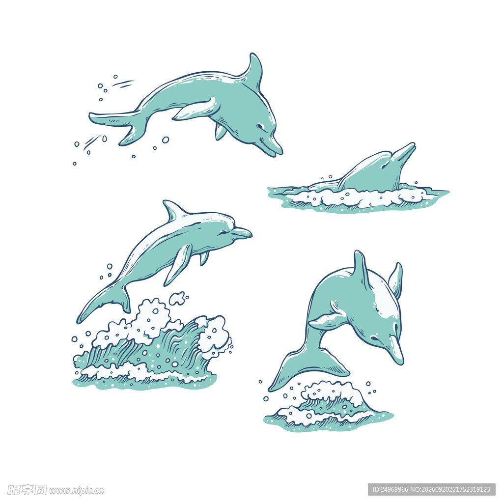海豚跃浪插画