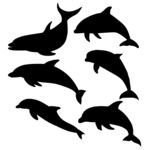 海豚剪影图案集合
