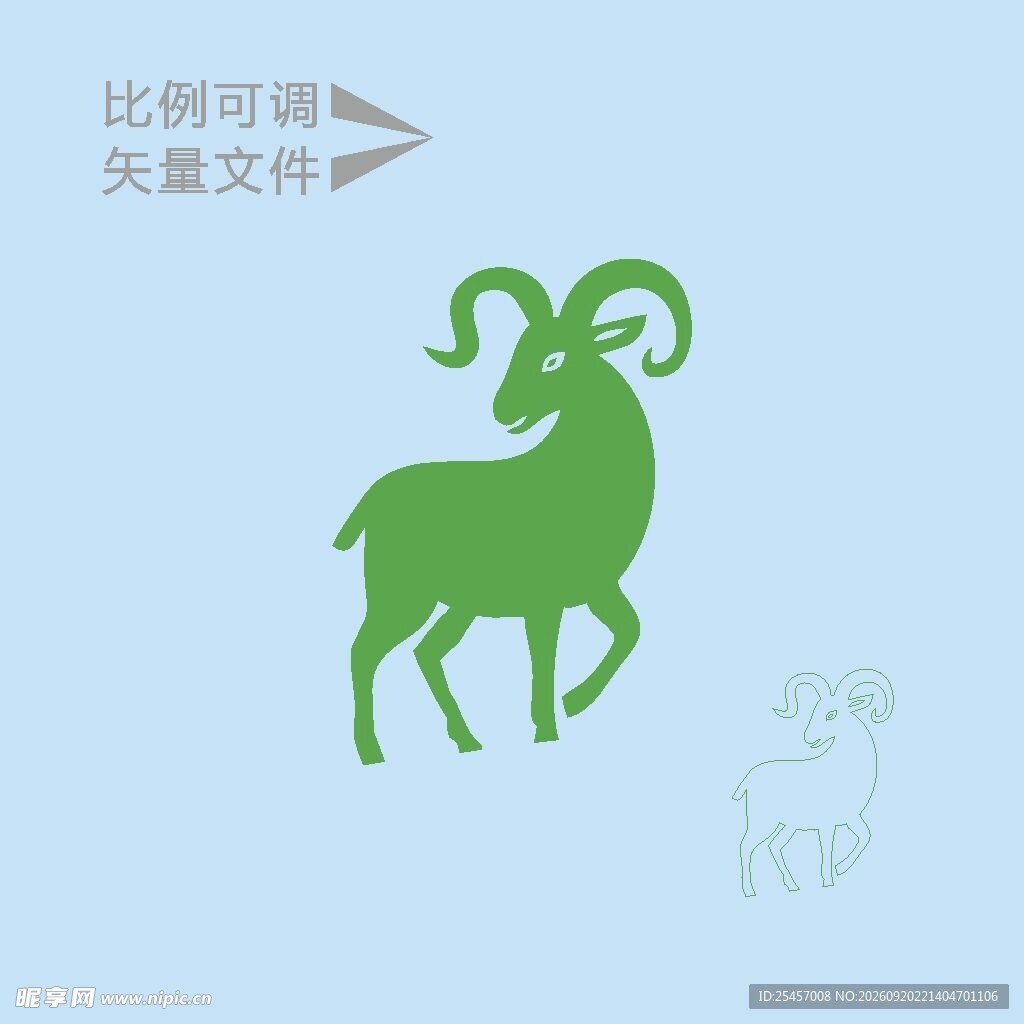大角盘羊   