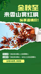 香港精彩游