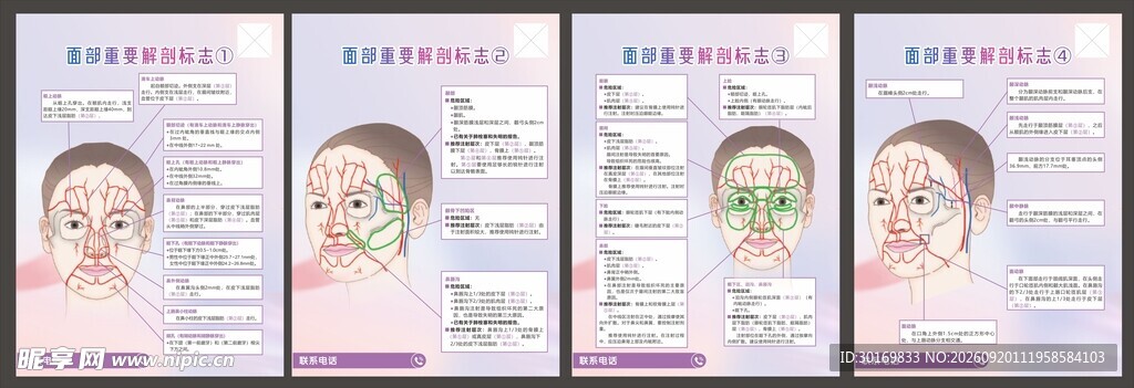 面部皮肤分析展示图