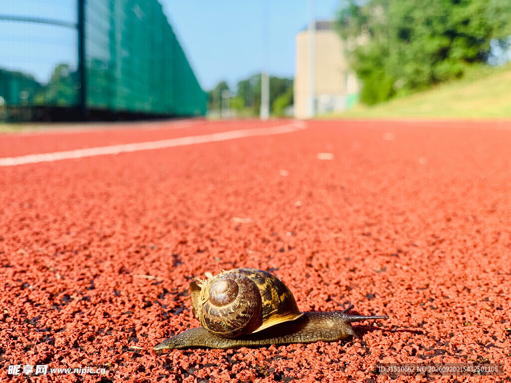 跑道上的蜗牛