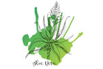 手绘绿色植物花卉图案
