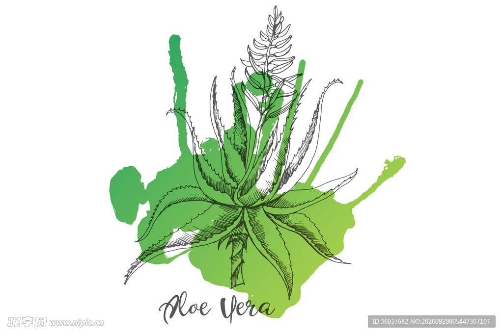 手绘绿色植物花卉图案