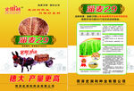 小麦种宣传页