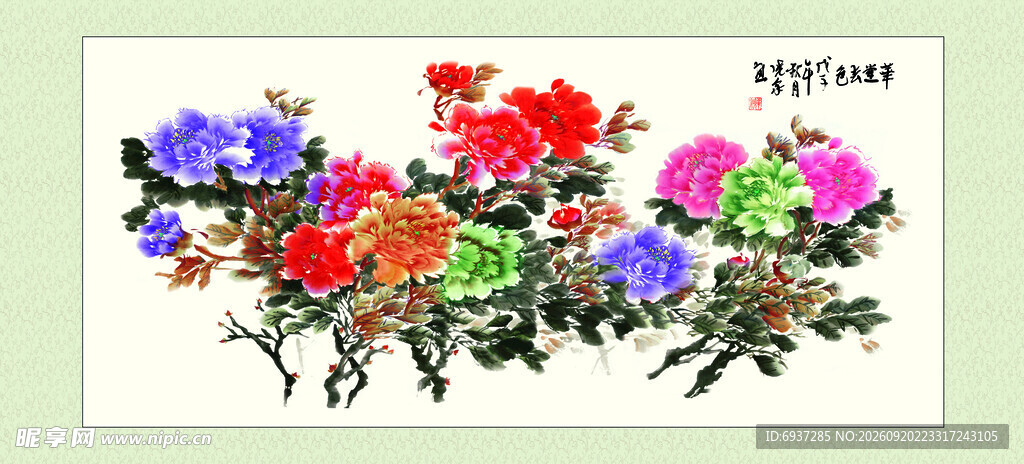 多彩花卉插画