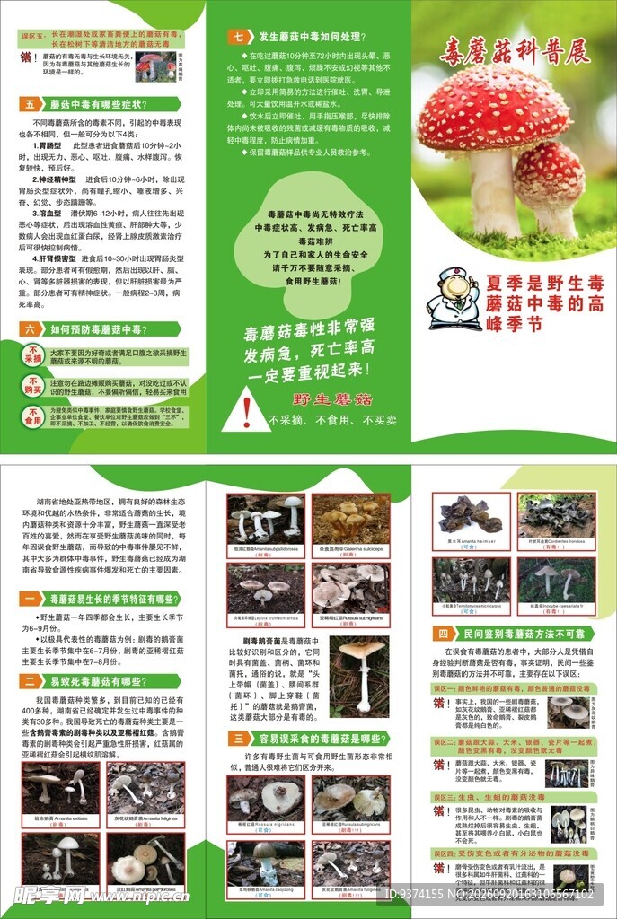 毒蘑菇宣传科普展折页