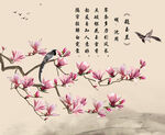 玉兰花