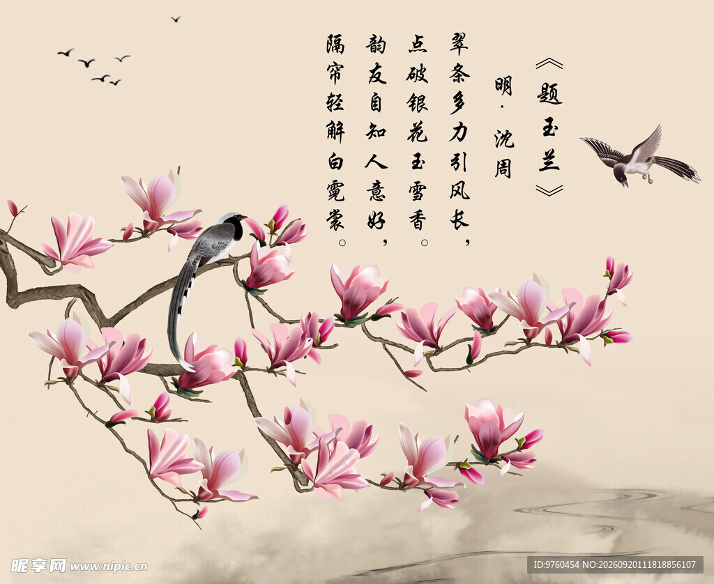 玉兰花