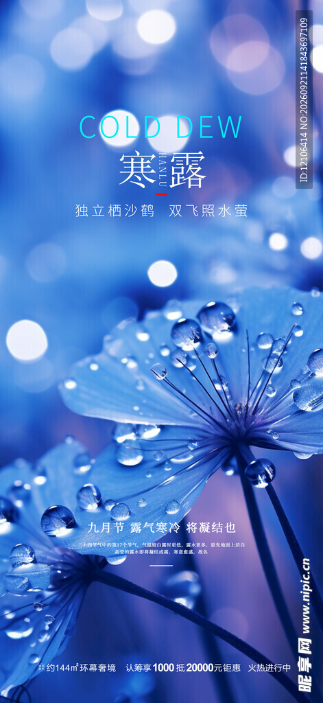 寒露