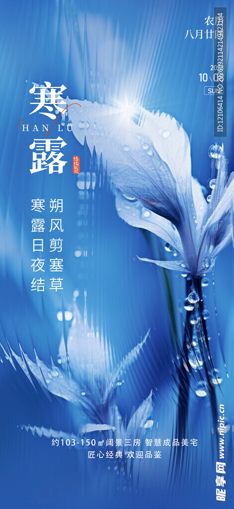 寒露节气主题插画