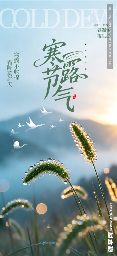 寒露