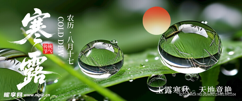 寒露