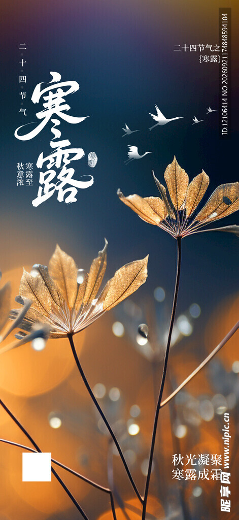 寒露