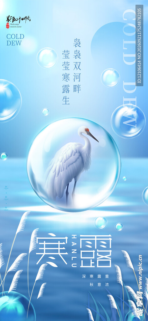 寒露