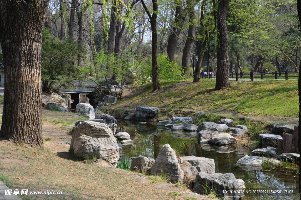 公园风景