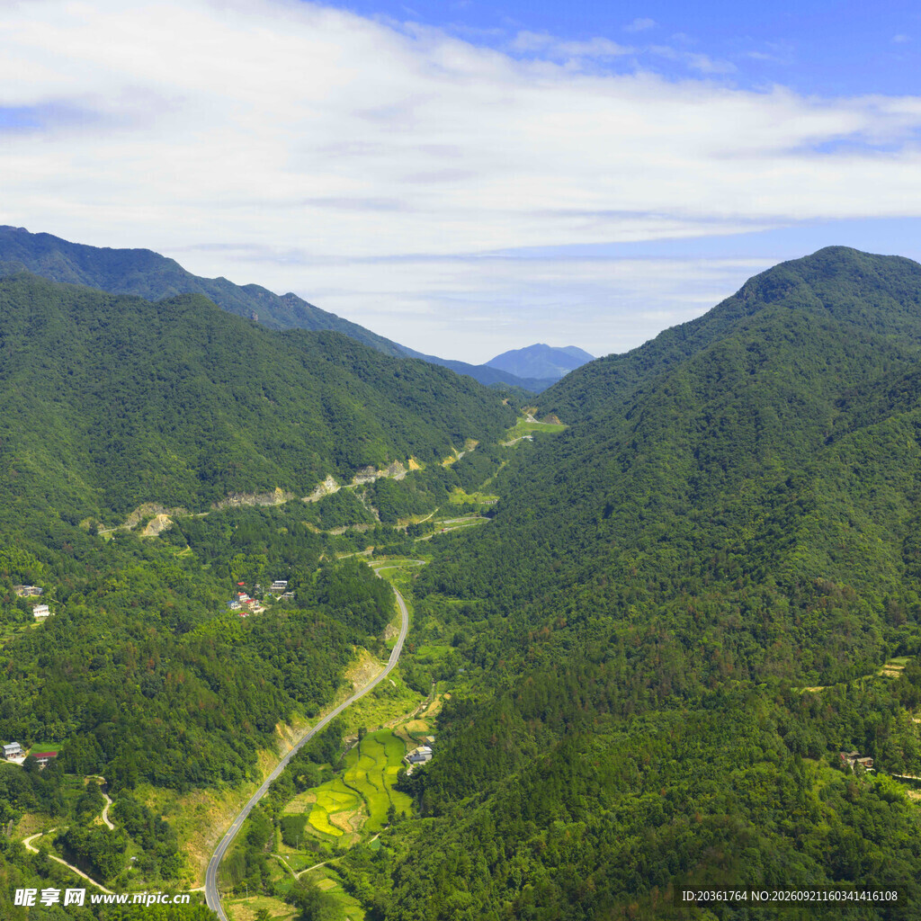 青山绿水间的蜿蜒道路