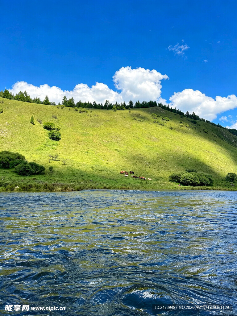 湖畔草原晴日风光