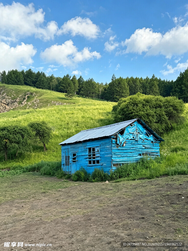 晴日山坡草地蓝天白云