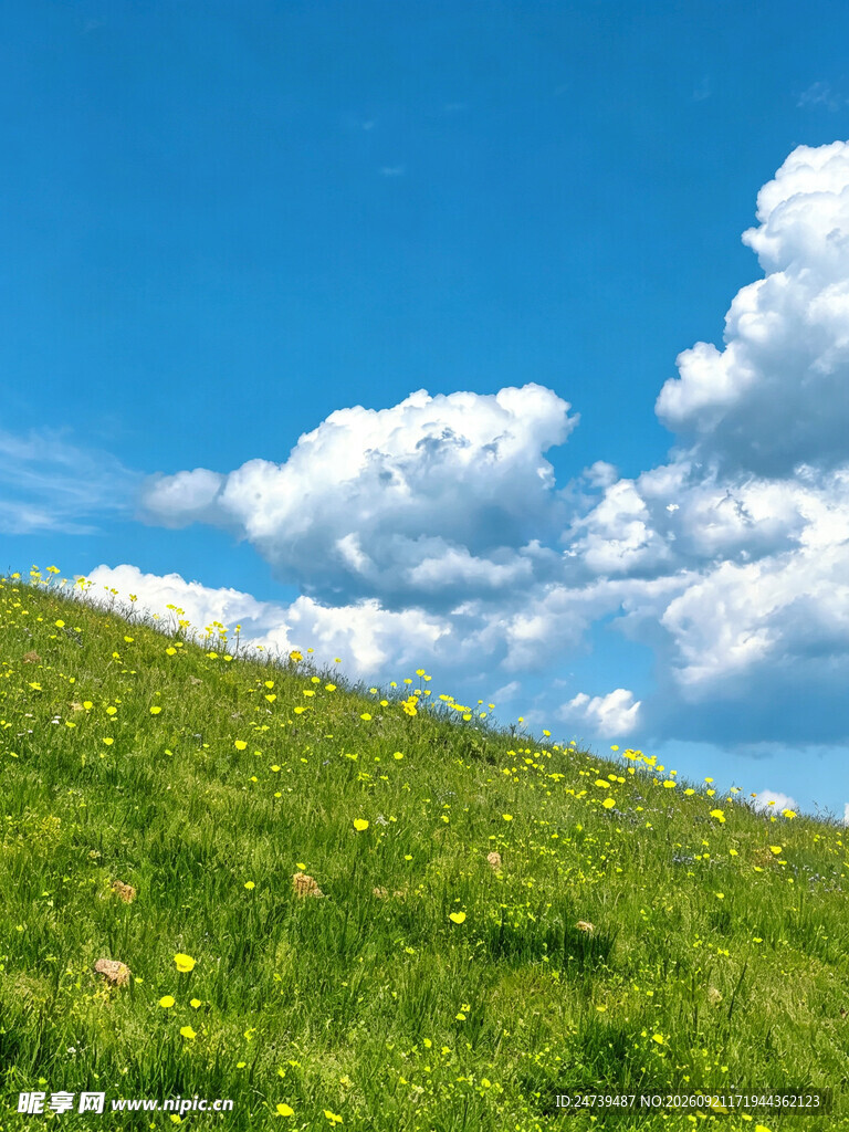 晴日山坡草地蓝天白云