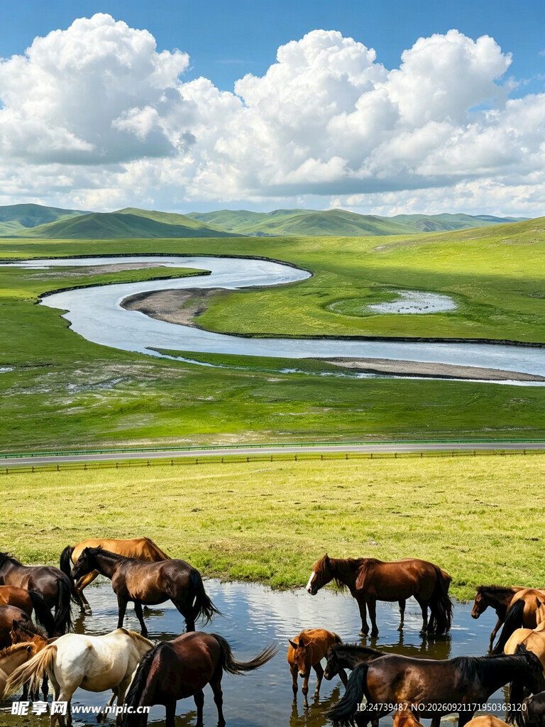 草原河畔马群风光
