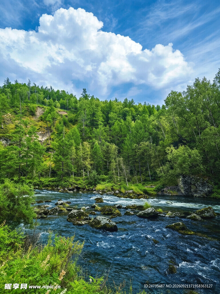 山林河畔夏日自然美景
