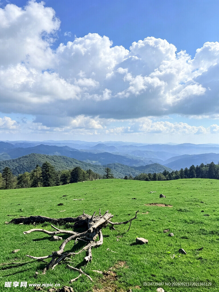 草原晴空自然美景