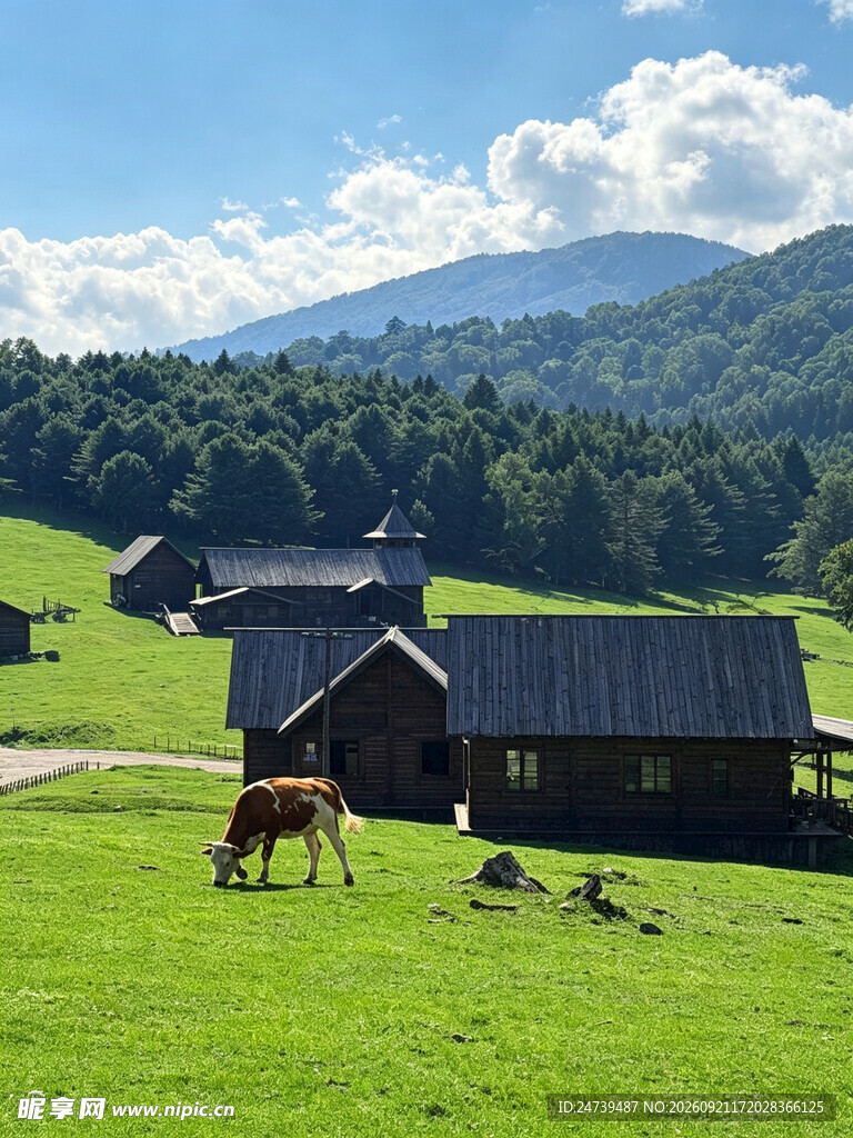 山间牧场田园风光