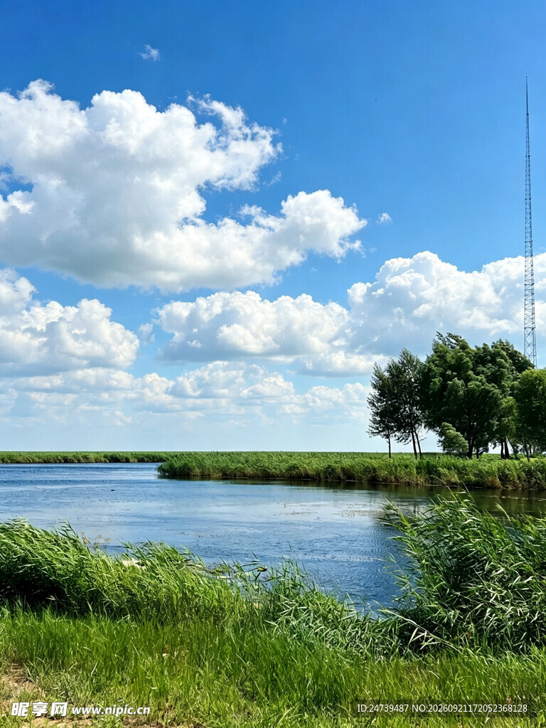郊野河畔夏日风光
