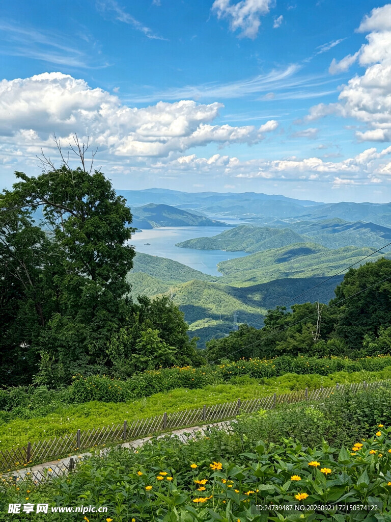 山顶风光