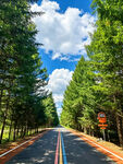 山林彩虹公路风光