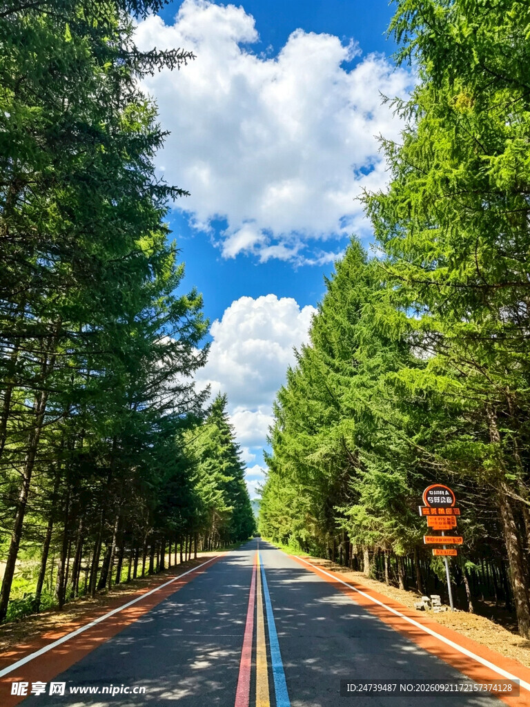 山林彩虹公路风光