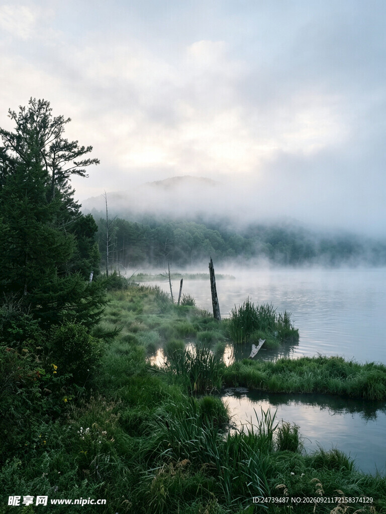 湖畔山林美景