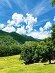 草原山林风光