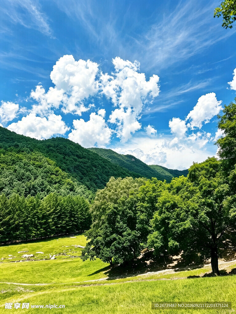 草原山林风光