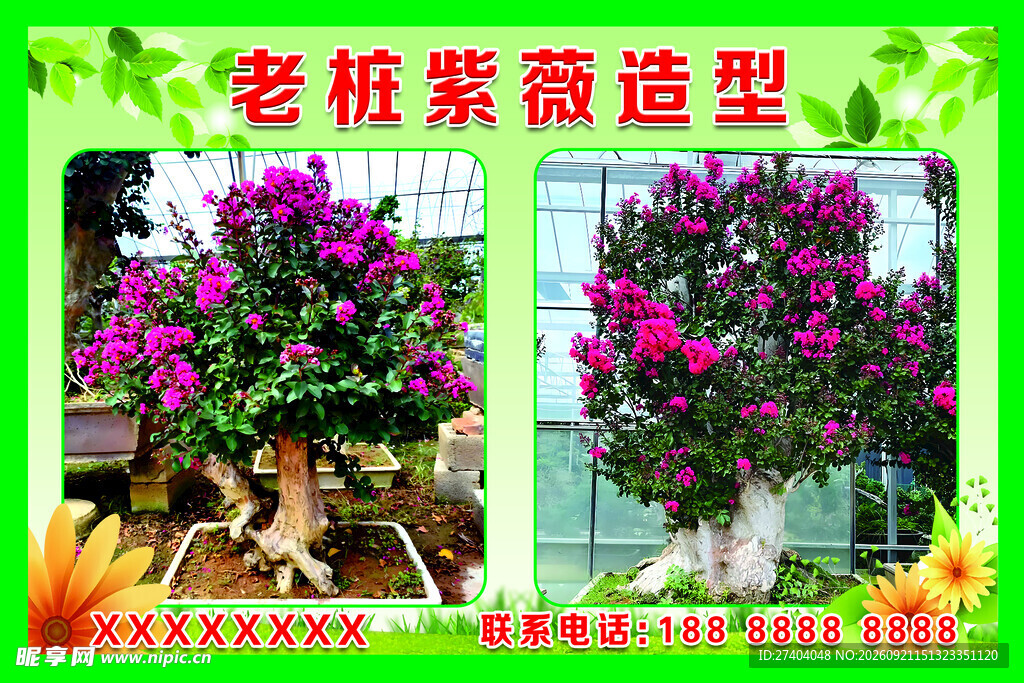 花卉内包含 紫薇 女贞 罗汉松