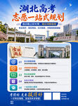 志愿填报