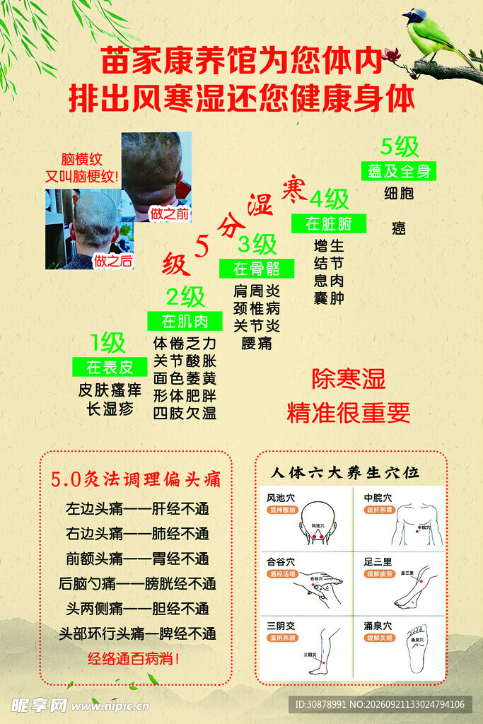 中医康养