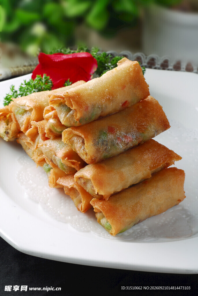 美味春卷摆放在白色盘上